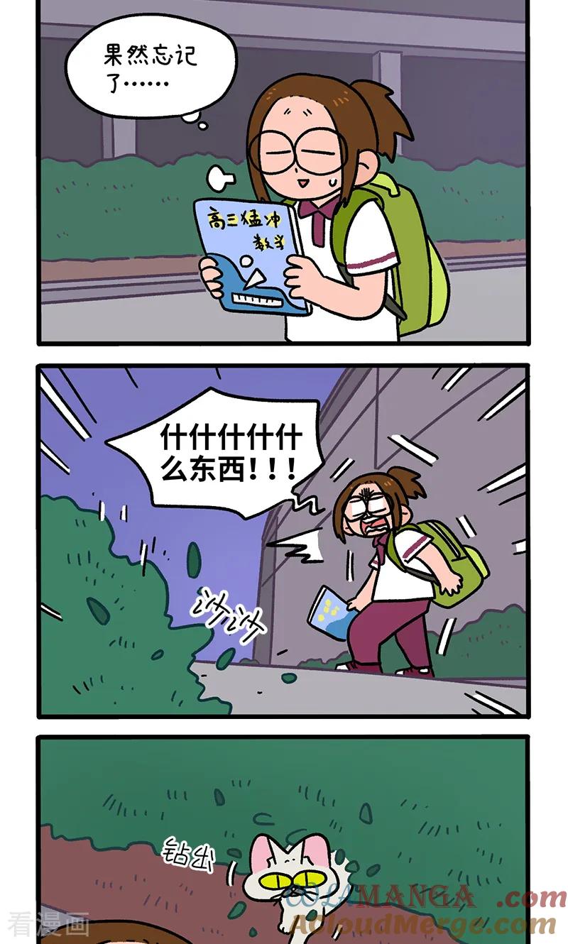第140话1第二只猫咪-阿满和麦茶-新漫画 日胖大海寺（第2张）