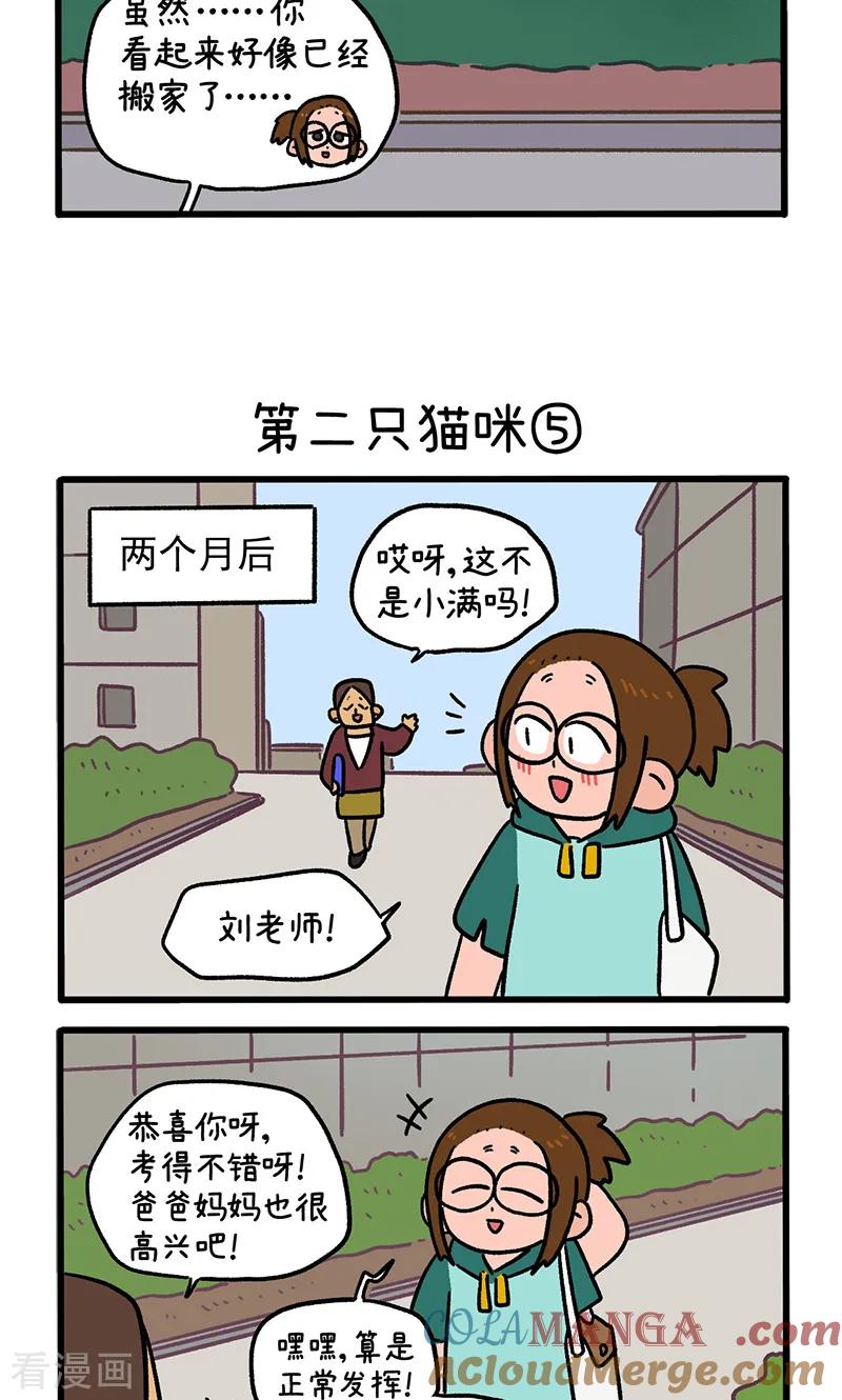 第140话2第二只猫咪-阿满和麦茶-新漫画 日胖大海寺（第3张）