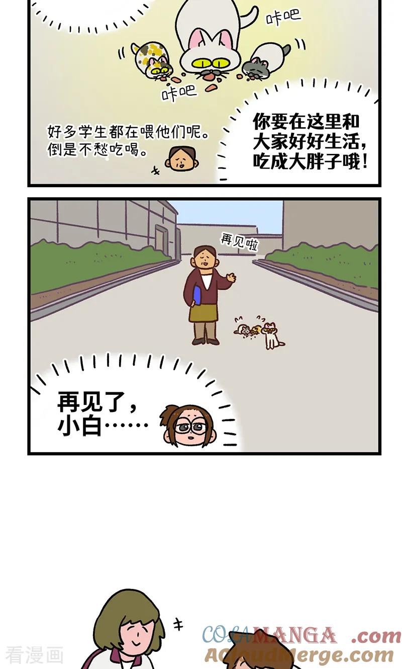 第140话2第二只猫咪-阿满和麦茶-新漫画 日胖大海寺（第6张）