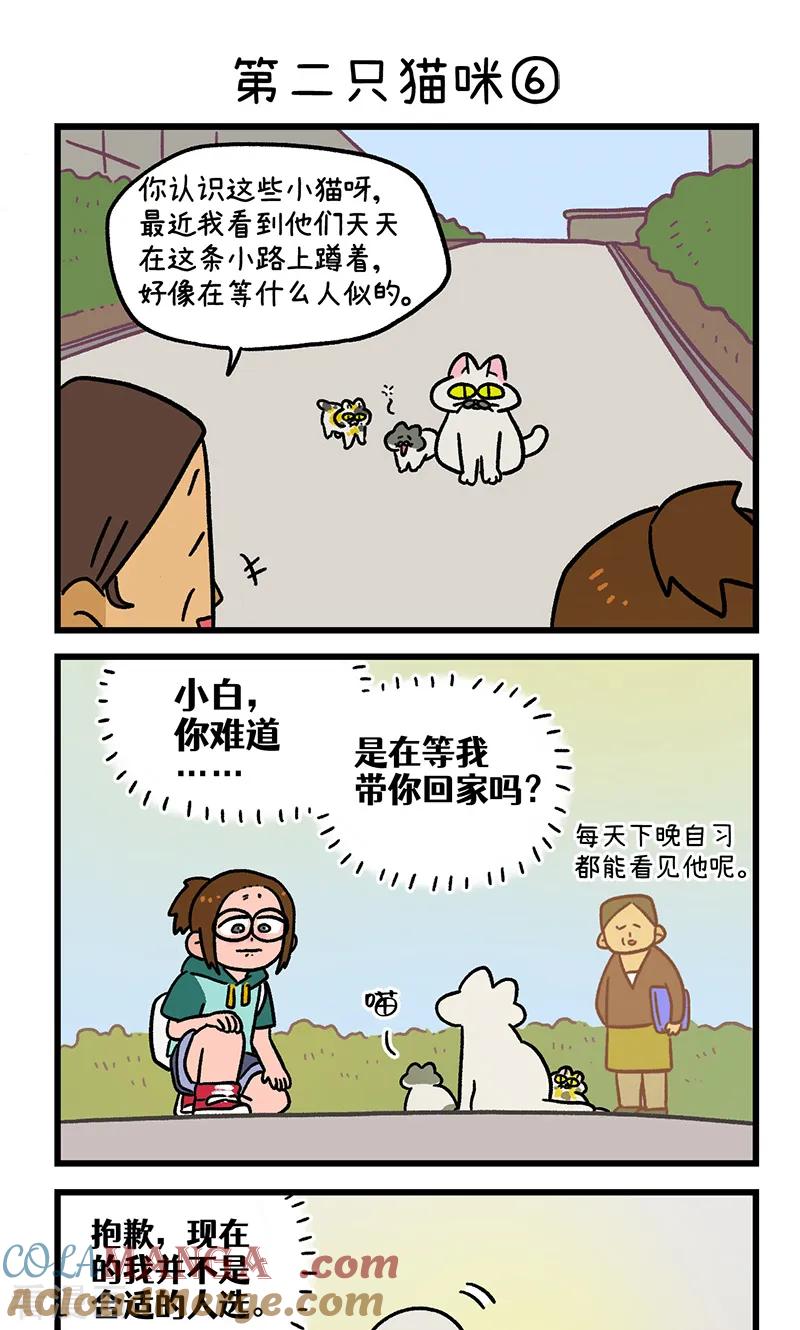 第140话2第二只猫咪-阿满和麦茶-新漫画 日胖大海寺（第5张）