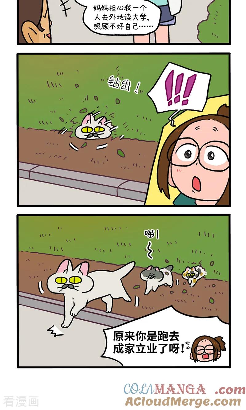 第140话2第二只猫咪-阿满和麦茶-新漫画 日胖大海寺（第4张）