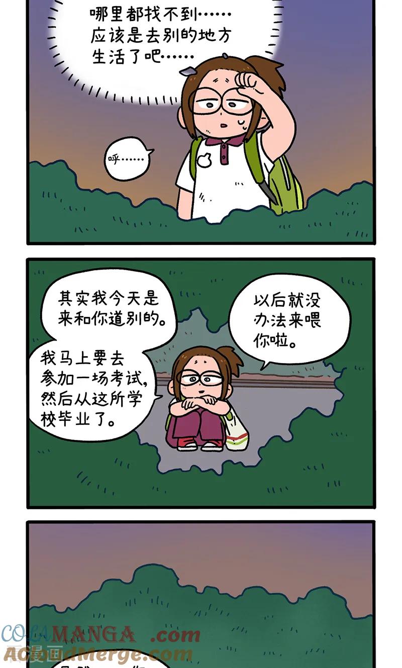 第140话2第二只猫咪-阿满和麦茶-新漫画 日胖大海寺（第2张）