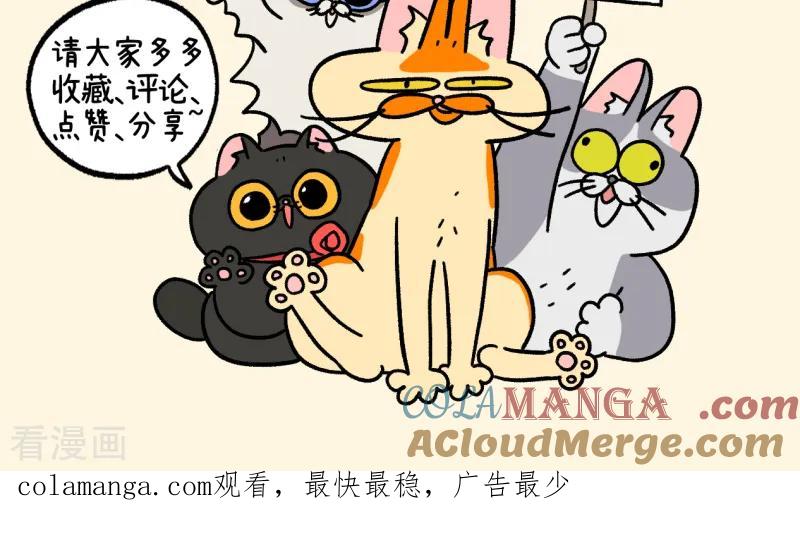 第140话2第二只猫咪-阿满和麦茶-新漫画 日胖大海寺（第9张）