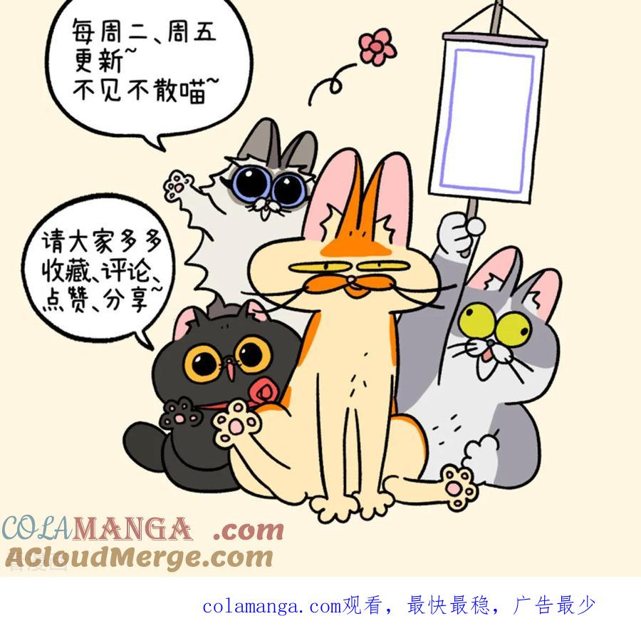 第141话1第三只猫咪-阿满和麦茶-新漫画 日胖大海寺（第8张）