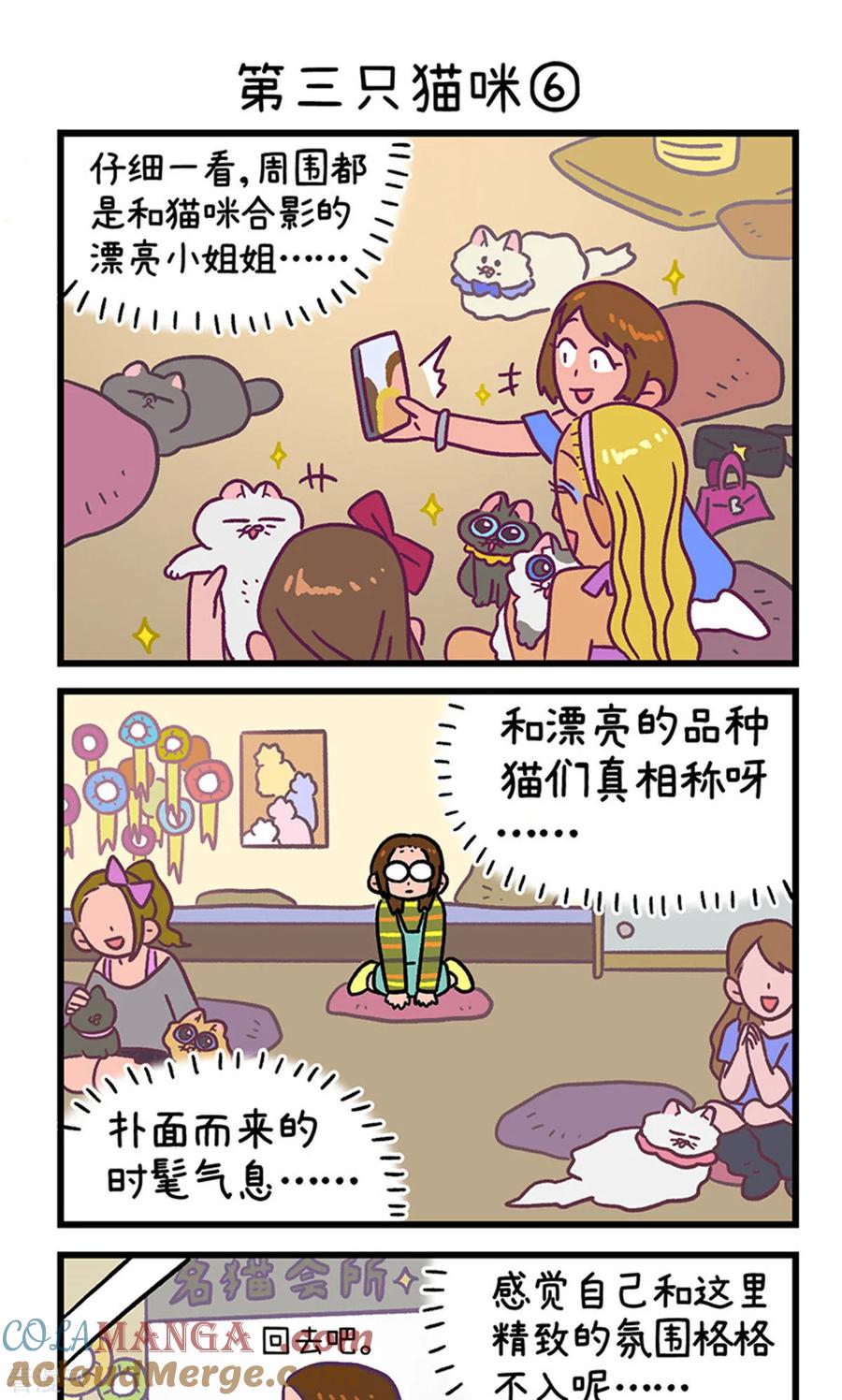 第141话2第三只猫咪-阿满和麦茶-新漫画 日胖大海寺（第5张）