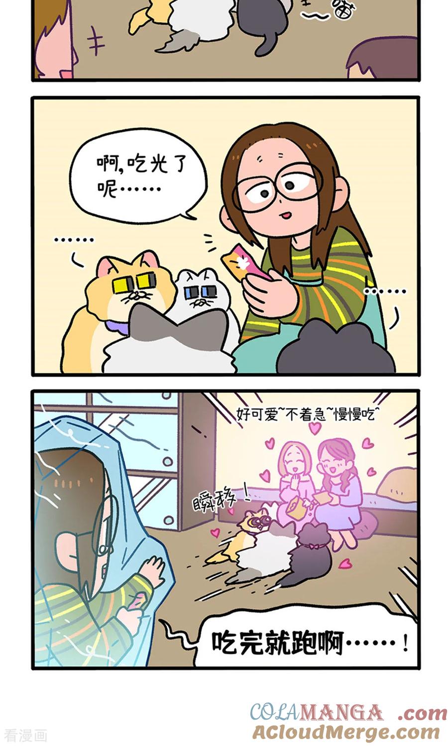 第141话2第三只猫咪-阿满和麦茶-新漫画 日胖大海寺（第4张）