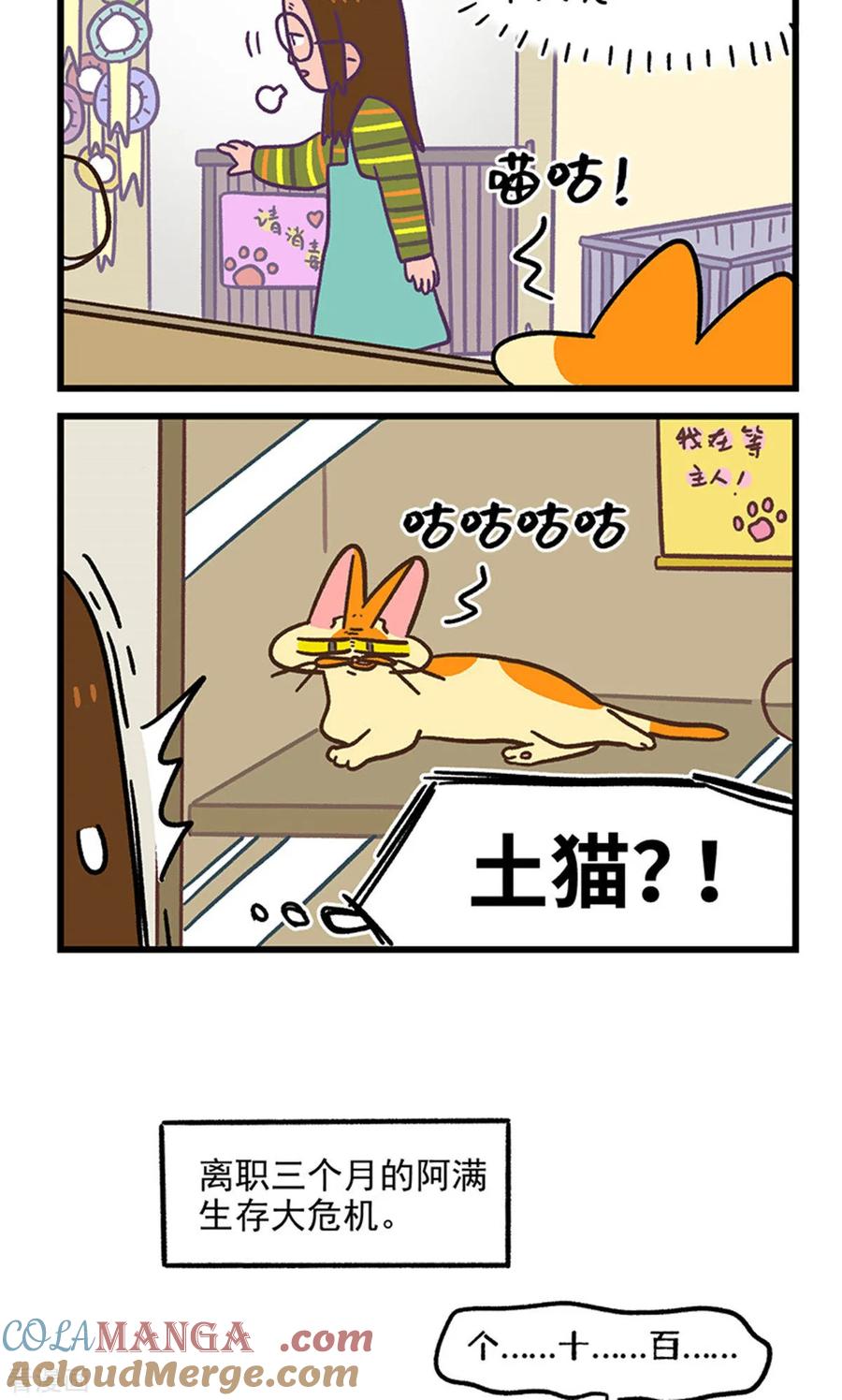 第141话2第三只猫咪-阿满和麦茶-新漫画 日胖大海寺（第6张）