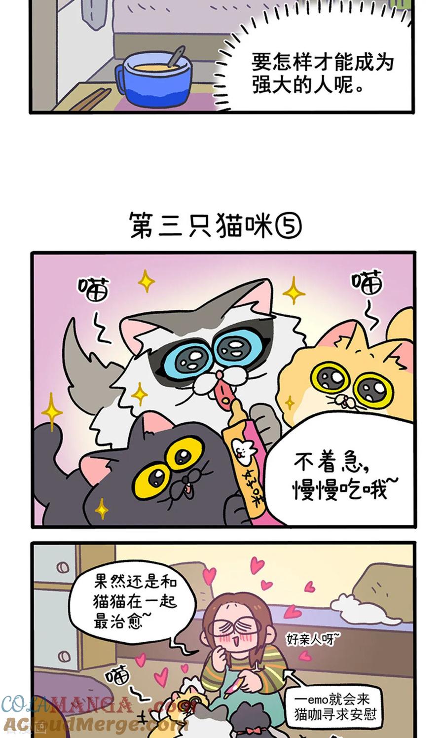 第141话2第三只猫咪-阿满和麦茶-新漫画 日胖大海寺（第3张）