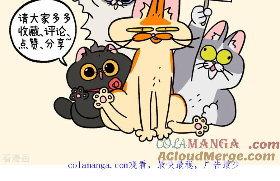 第141话2第三只猫咪-阿满和麦茶-新漫画 日胖大海寺（第9张）