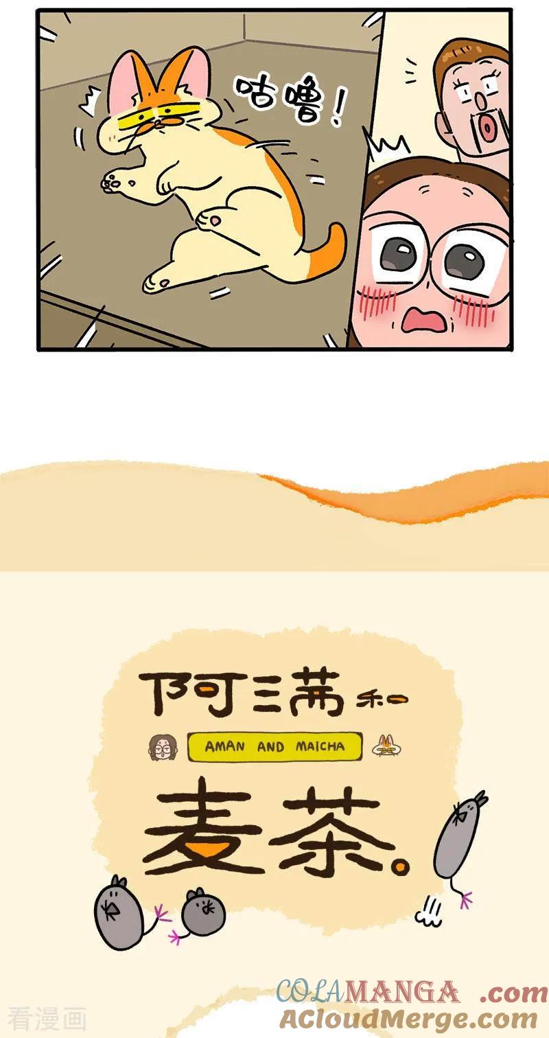 第142话1田园名猫-阿满和麦茶-新漫画 日胖大海寺（第5张）