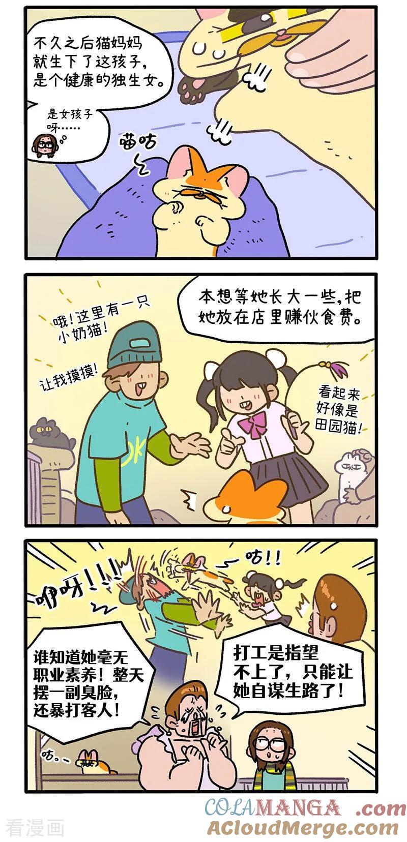 第142话1田园名猫-阿满和麦茶-新漫画 日胖大海寺（第3张）