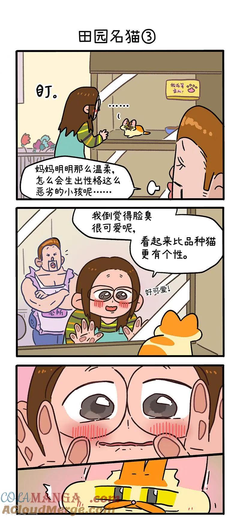 第142话1田园名猫-阿满和麦茶-新漫画 日胖大海寺（第4张）