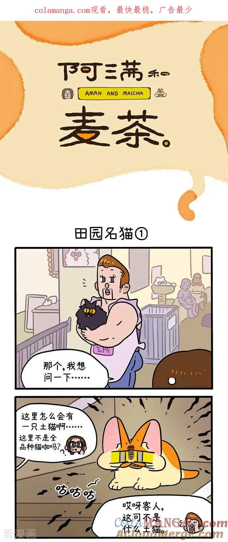 第142话1田园名猫-阿满和麦茶-新漫画 日胖大海寺（第1张）