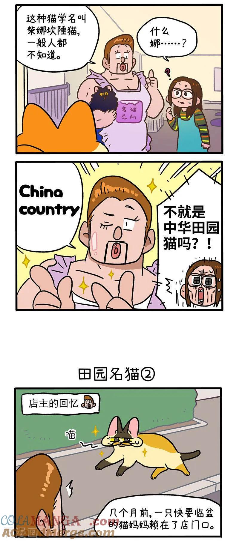 第142话1田园名猫-阿满和麦茶-新漫画 日胖大海寺（第2张）