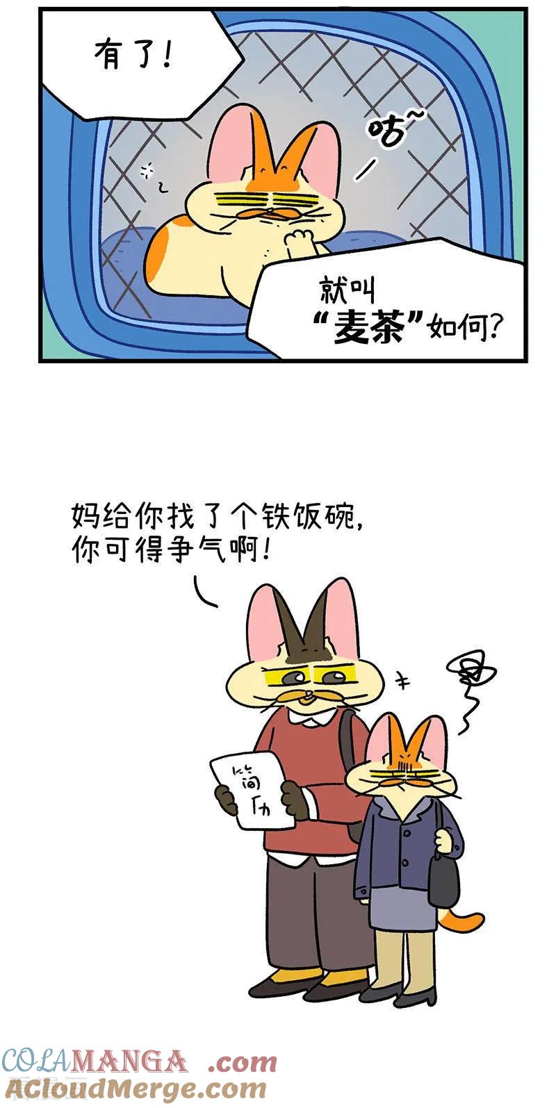 第142话2田园名猫-阿满和麦茶-新漫画 日胖大海寺（第5张）