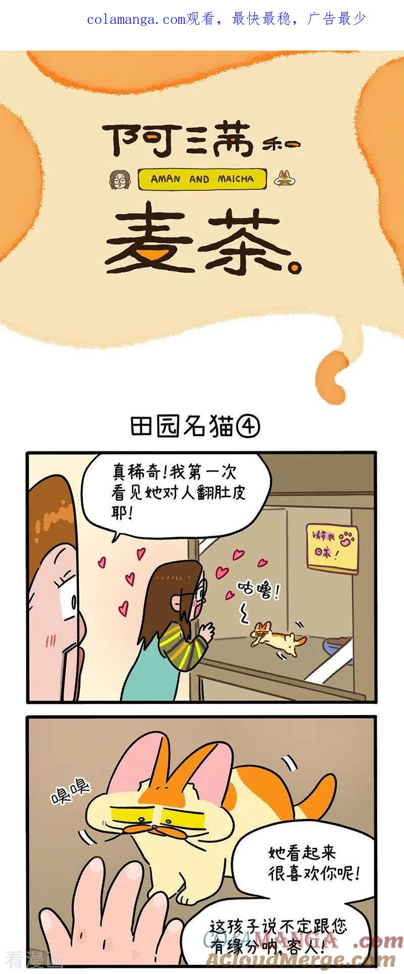 第142话2田园名猫-阿满和麦茶-新漫画 日胖大海寺（第1张）