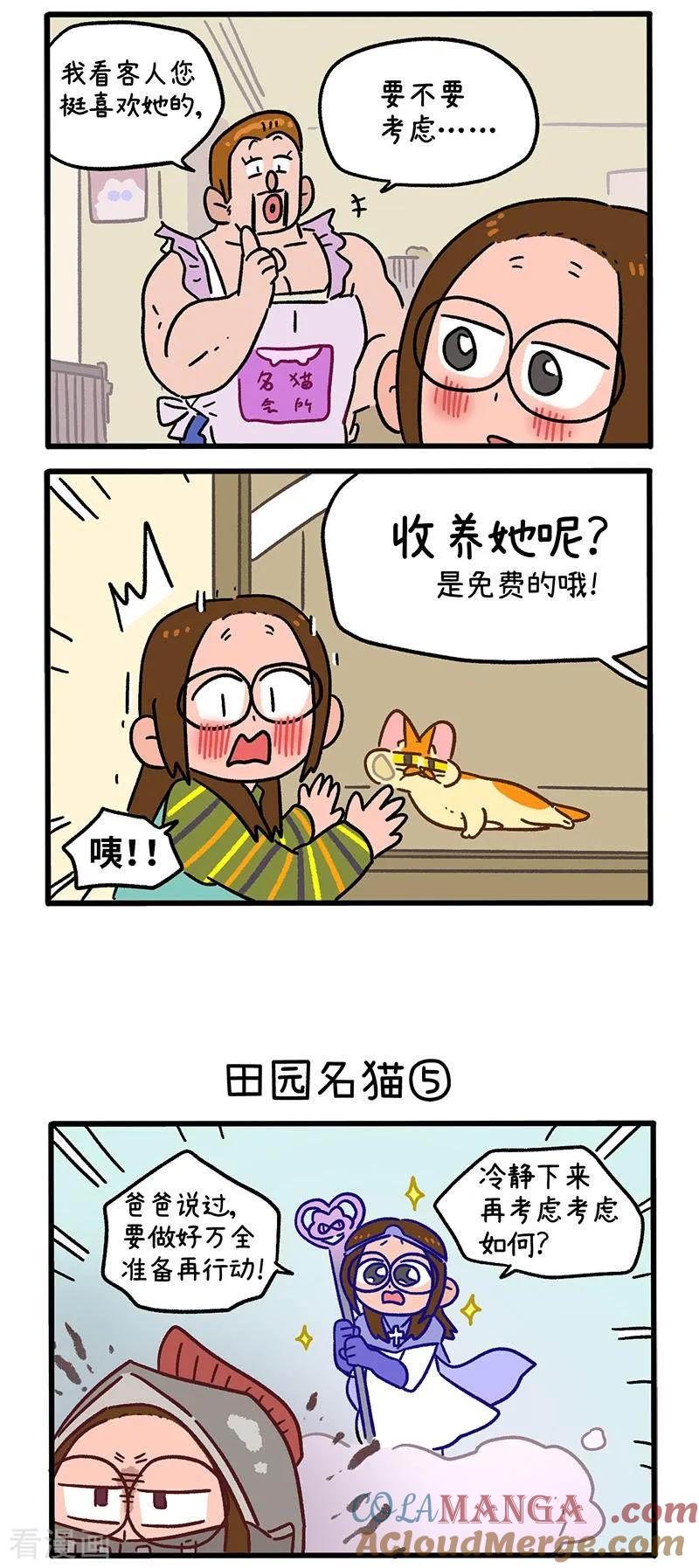 第142话2田园名猫-阿满和麦茶-新漫画 日胖大海寺（第2张）