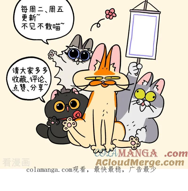 第143话1生活发生变化了-阿满和麦茶-新漫画 日胖大海寺（第8张）