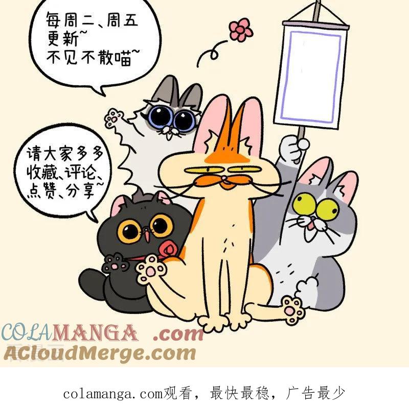 第145话1理想的房子-阿满和麦茶-新漫画 日胖大海寺（第8张）