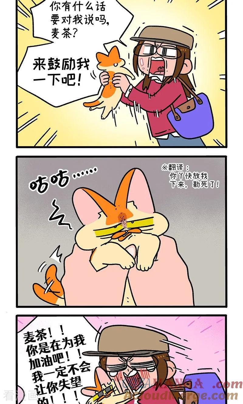 第146话1面试-阿满和麦茶-新漫画 日胖大海寺（第2张）