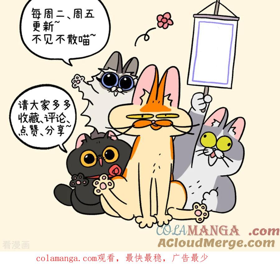 第147话1向前一步-阿满和麦茶-新漫画 日胖大海寺（第8张）