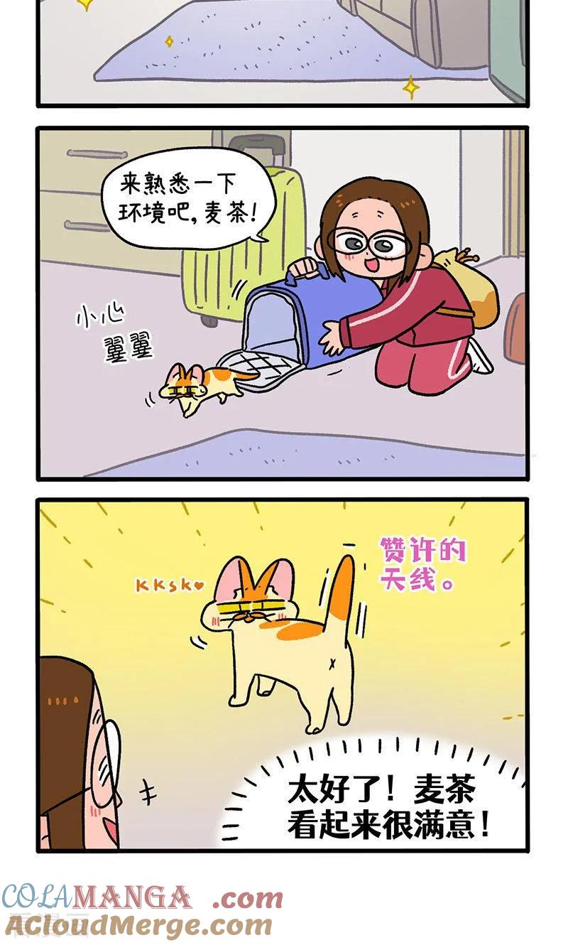 第148话1原点-阿满和麦茶-新漫画 日胖大海寺（第4张）