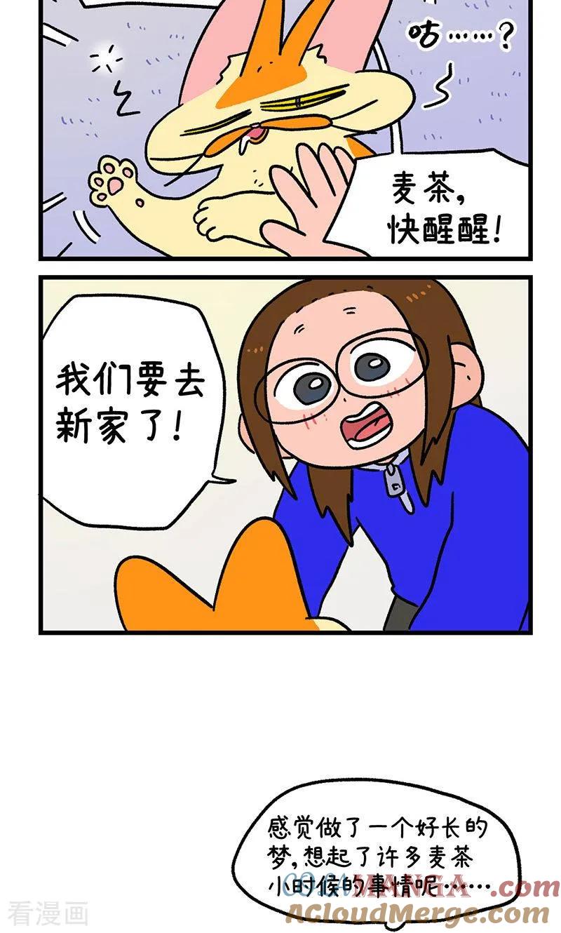第148话2原点-阿满和麦茶-新漫画 日胖大海寺（第6张）