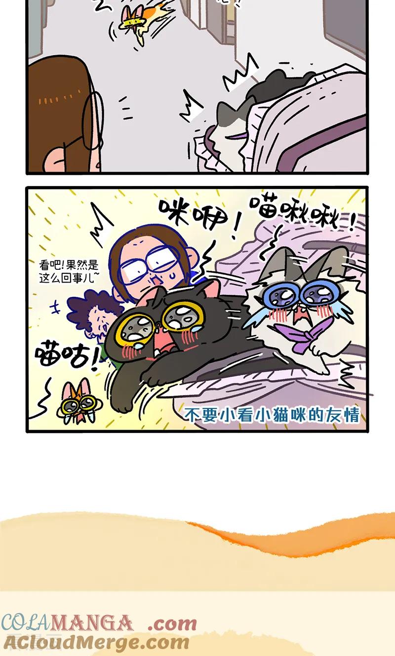 第149话1年假的尾声-阿满和麦茶-新漫画 日胖大海寺（第6张）