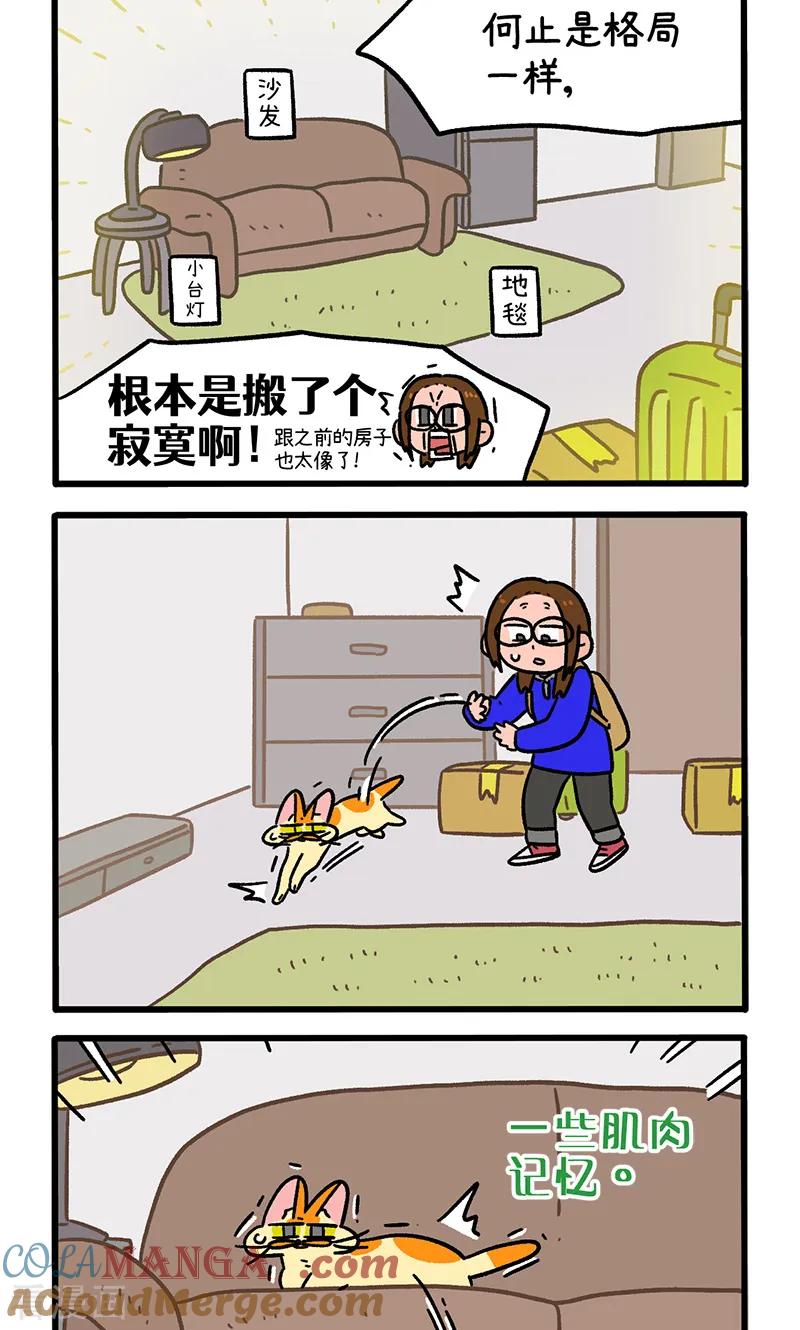 第149话1年假的尾声-阿满和麦茶-新漫画 日胖大海寺（第2张）