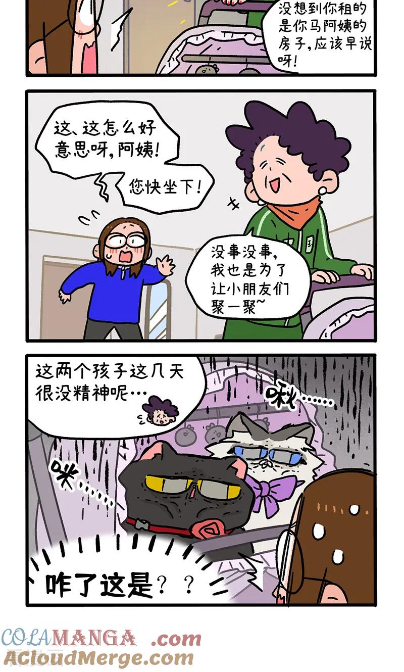 第149话1年假的尾声-阿满和麦茶-新漫画 日胖大海寺（第4张）