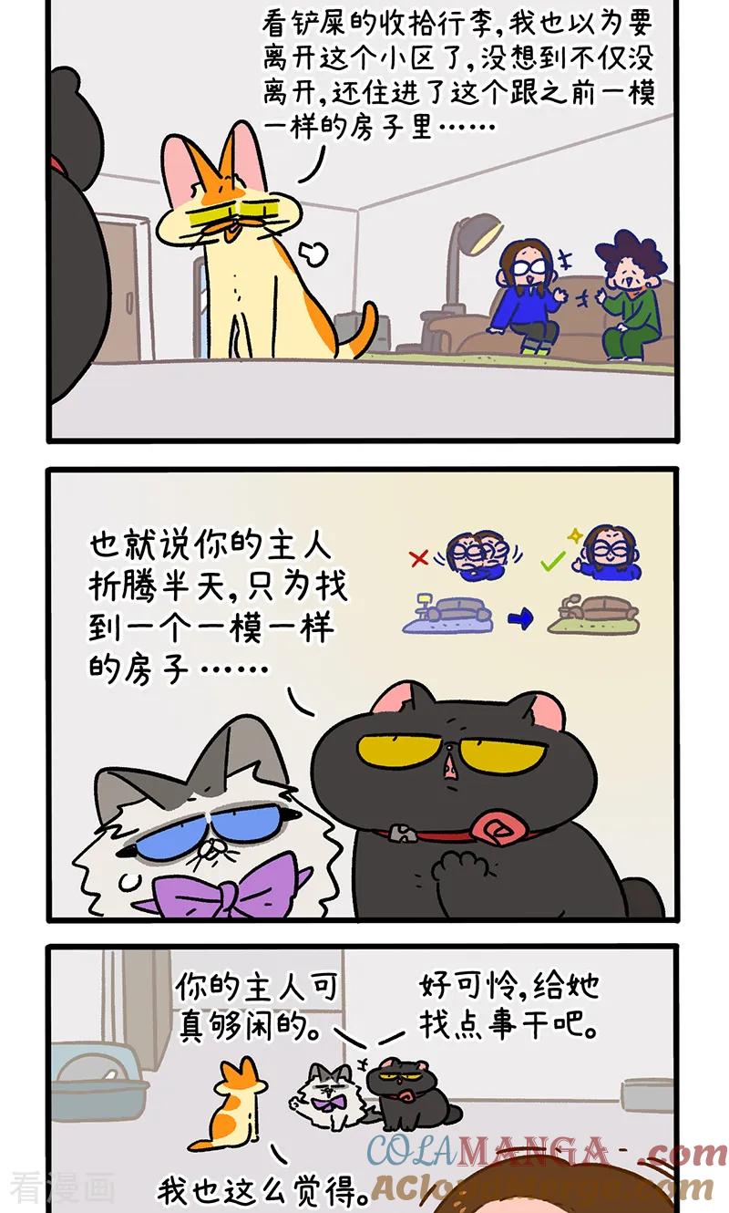 第149话2年假的尾声-阿满和麦茶-新漫画 日胖大海寺（第2张）