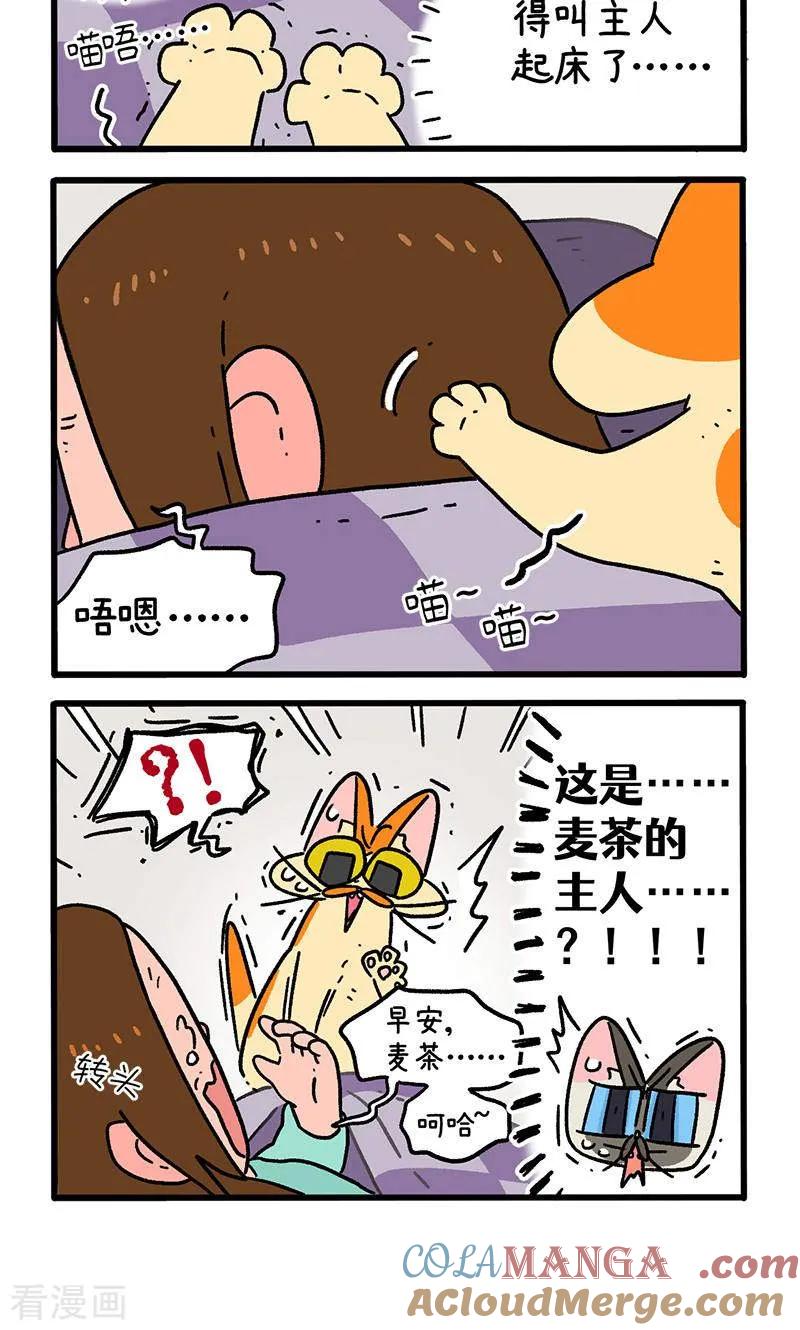 第150话1如果交换身体的话-阿满和麦茶-新漫画 日胖大海寺（第4张）