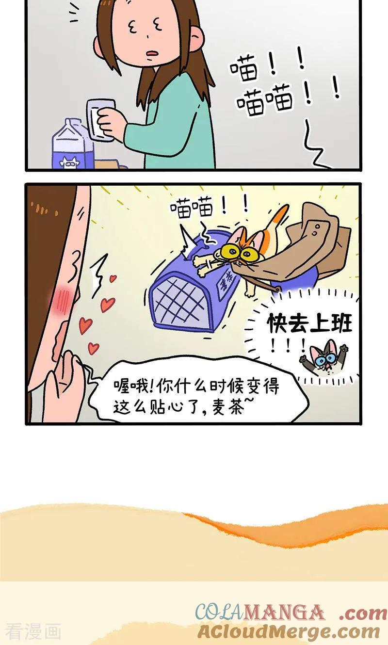 第150话1如果交换身体的话-阿满和麦茶-新漫画 日胖大海寺（第6张）