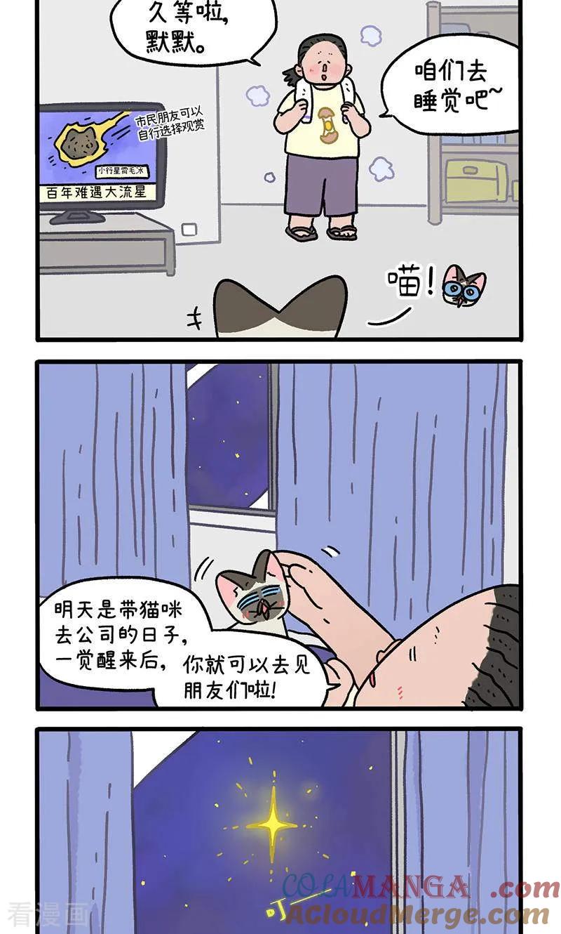 第150话1如果交换身体的话-阿满和麦茶-新漫画 日胖大海寺（第2张）