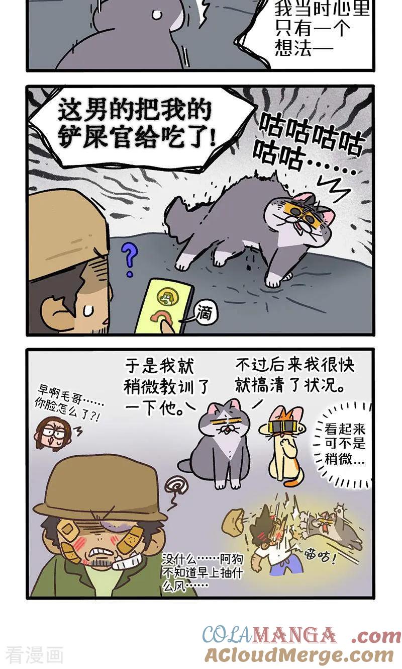 第150话2如果交换身体的话-阿满和麦茶-新漫画 日胖大海寺（第4张）