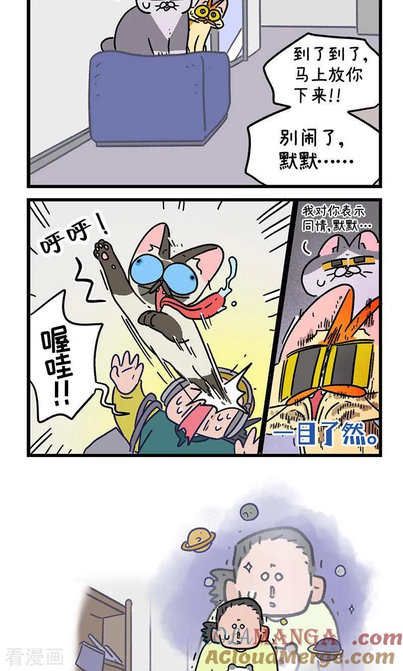 第150话2如果交换身体的话-阿满和麦茶-新漫画 日胖大海寺（第6张）