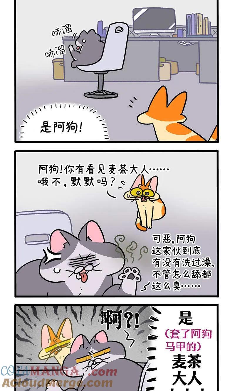 第150话2如果交换身体的话-阿满和麦茶-新漫画 日胖大海寺（第2张）