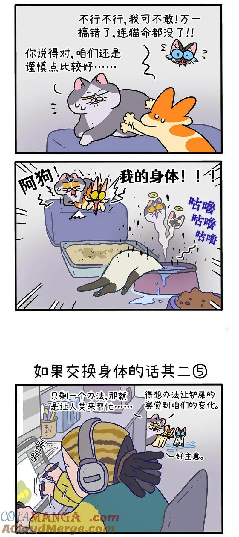 第151话2如果交换身体的话2-阿满和麦茶-新漫画 日胖大海寺（第2张）