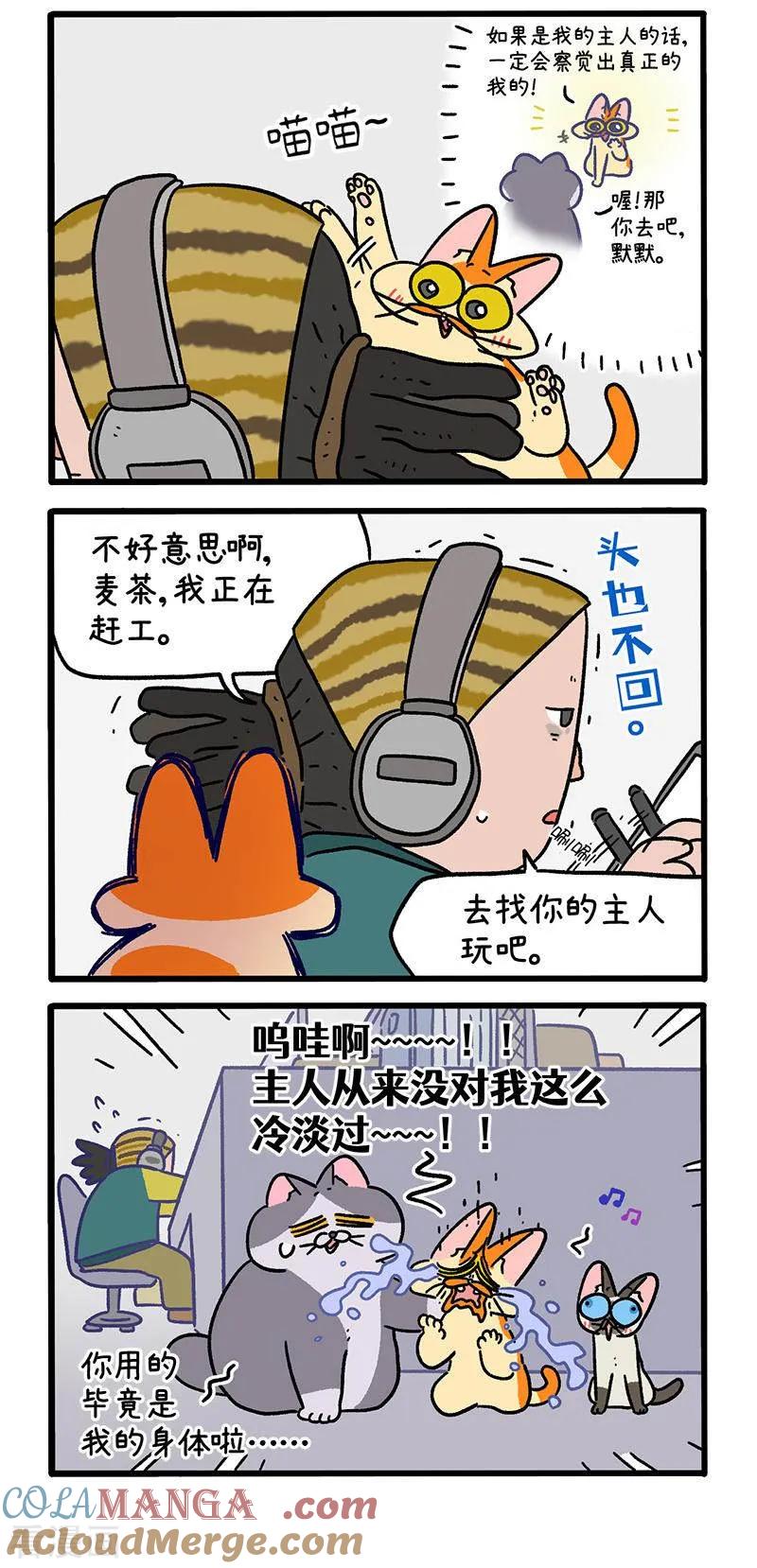 第151话2如果交换身体的话2-阿满和麦茶-新漫画 日胖大海寺（第3张）
