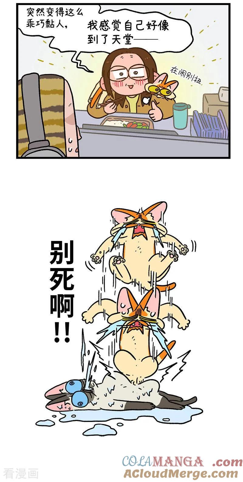第151话2如果交换身体的话2-阿满和麦茶-新漫画 日胖大海寺（第5张）