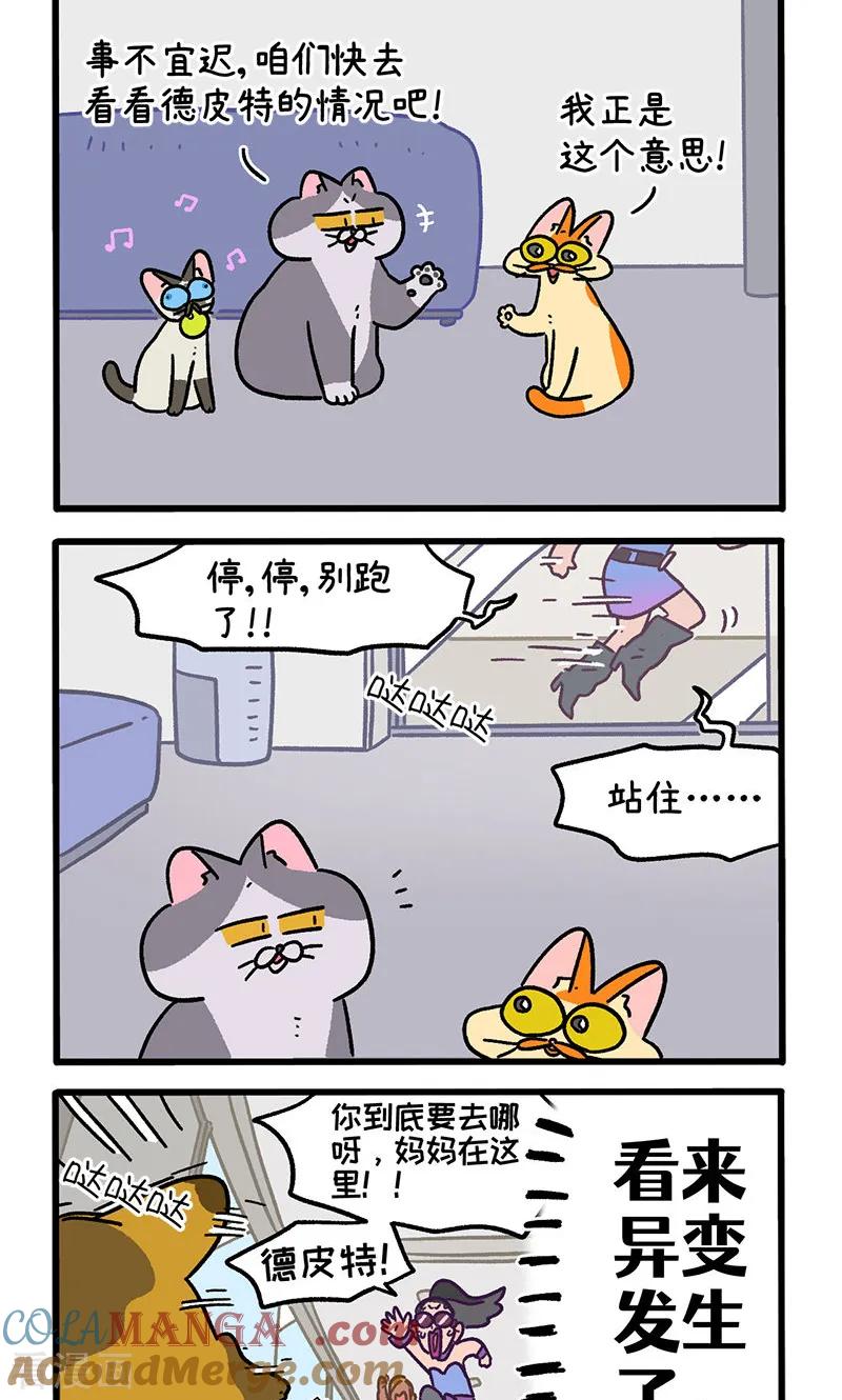 第152话1如果交换身体的话3-阿满和麦茶-新漫画 日胖大海寺（第2张）