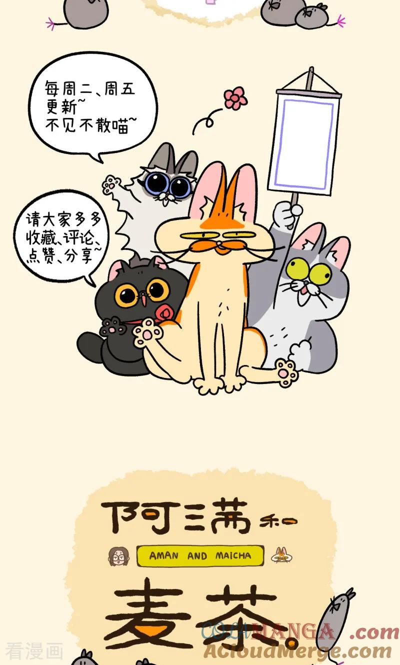第152话2如果交换身体的话3-阿满和麦茶-新漫画 日胖大海寺（第6张）