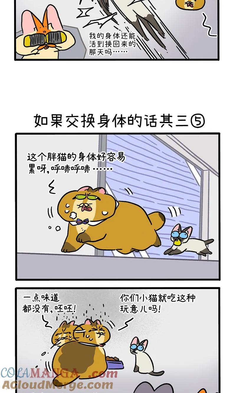 第152话2如果交换身体的话3-阿满和麦茶-新漫画 日胖大海寺（第3张）