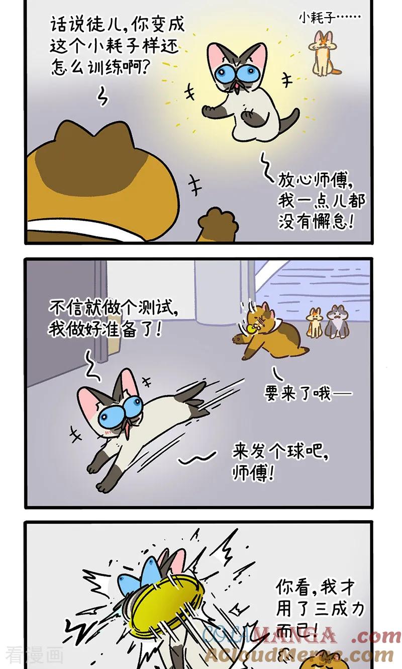 第152话2如果交换身体的话3-阿满和麦茶-新漫画 日胖大海寺（第2张）
