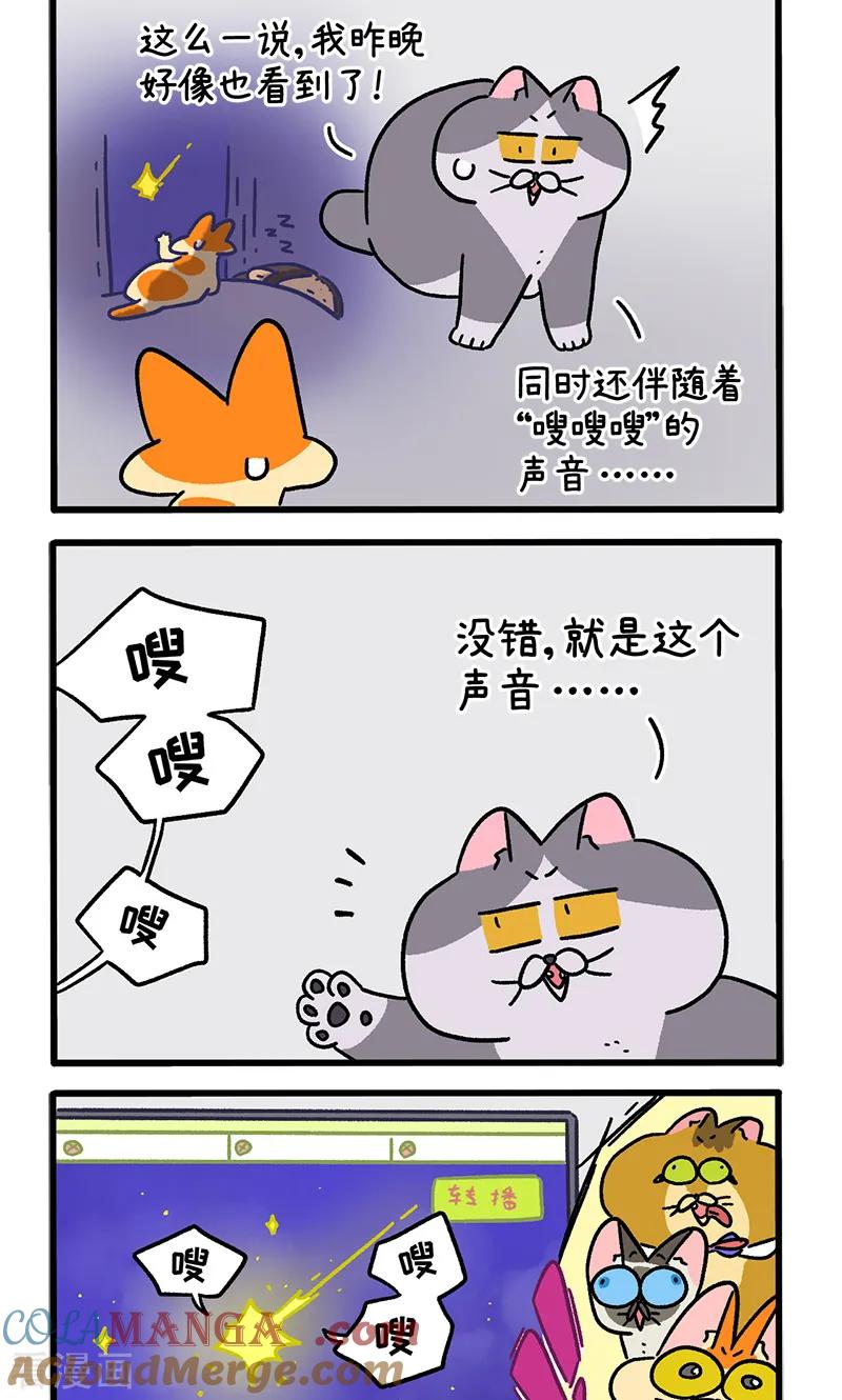 第153话2如果交换身体的话4-阿满和麦茶-新漫画 日胖大海寺（第2张）