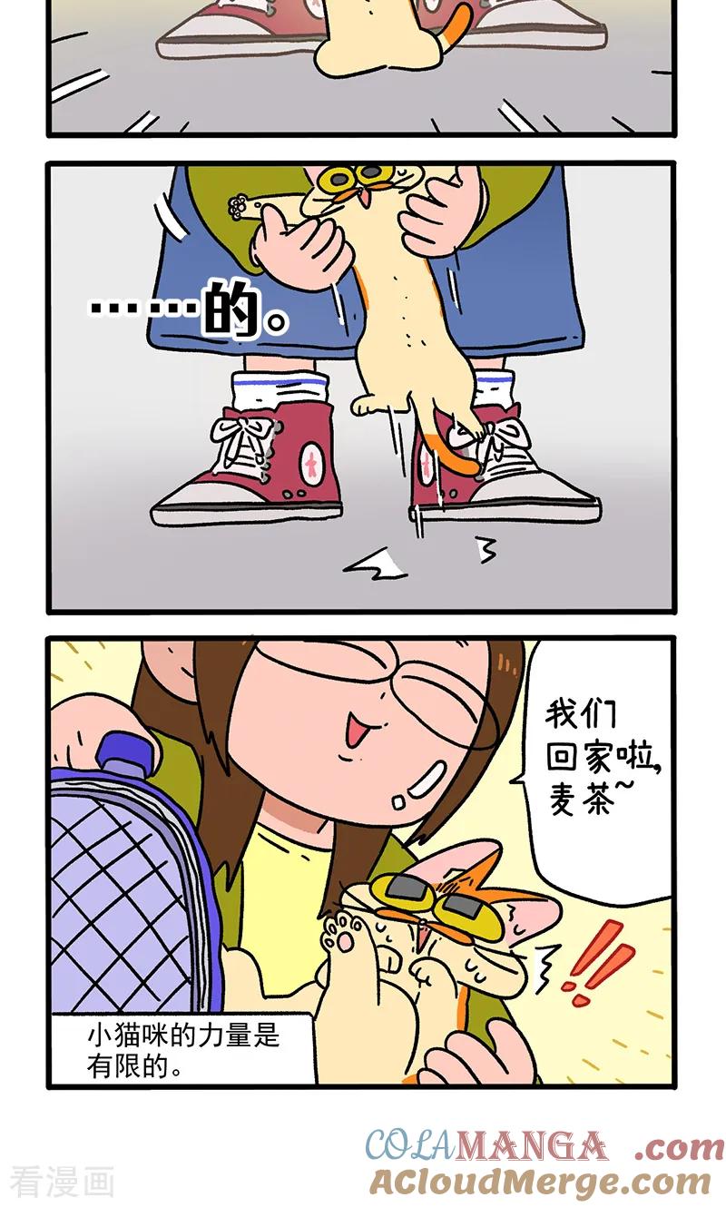 第154话1如果交换身体的话5-阿满和麦茶-新漫画 日胖大海寺（第4张）