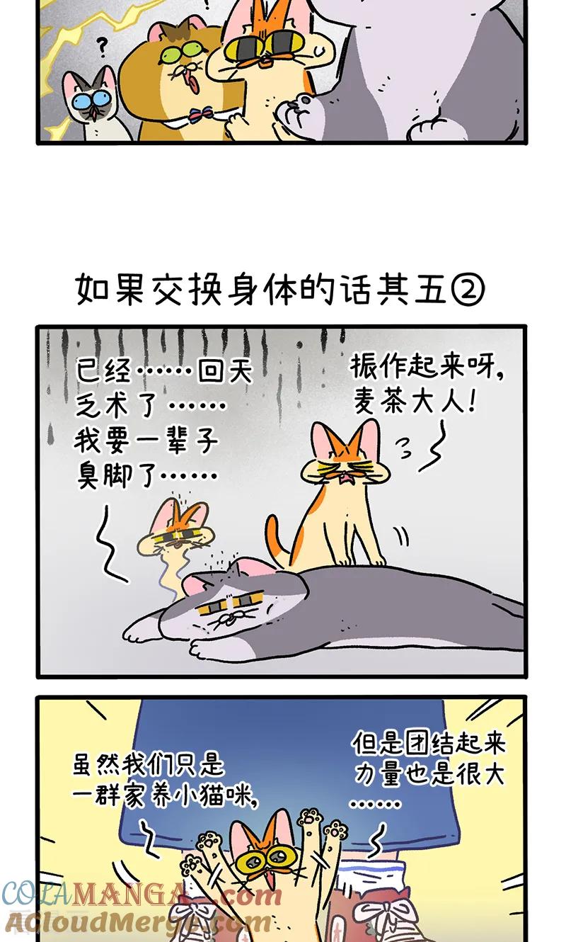 第154话1如果交换身体的话5-阿满和麦茶-新漫画 日胖大海寺（第3张）