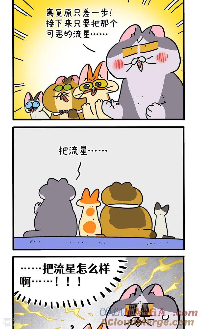 第154话1如果交换身体的话5-阿满和麦茶-新漫画 日胖大海寺（第2张）
