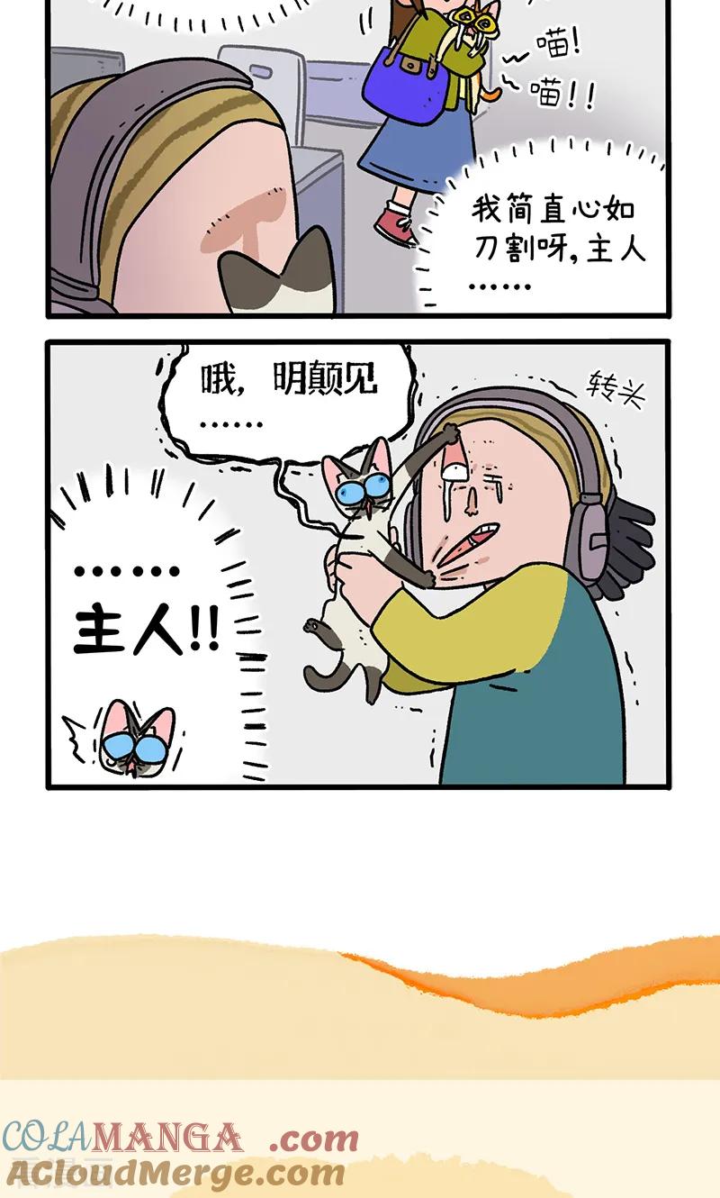 第154话1如果交换身体的话5-阿满和麦茶-新漫画 日胖大海寺（第6张）
