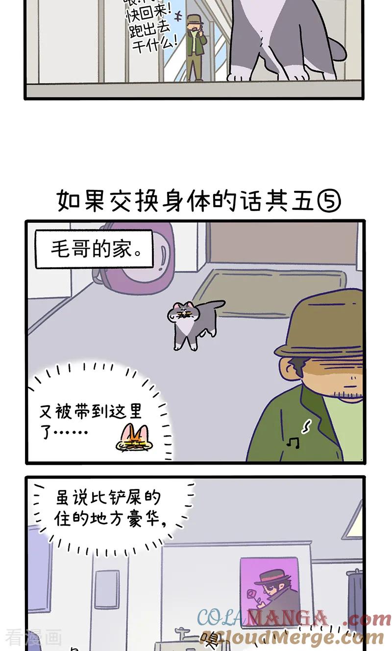 第154话2如果交换身体的话5-阿满和麦茶-新漫画 日胖大海寺（第3张）